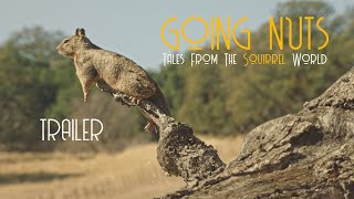 Going Nuts - Tales from the Squirrel World (Trailer)