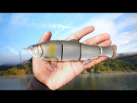 Fishing In Japan With My New Favorite Swimbait! (Big Fish Caught!)