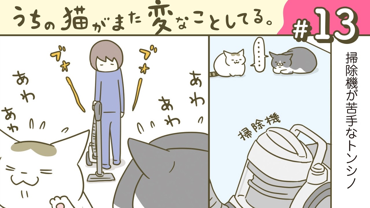 【漫画】動線/そうだったの/他（CV:悠木碧、小市眞琴、森永千才、平川嵐）｜『うちの猫がまた変なことしてる。』（13）【マンガ動画】ボイスコミック