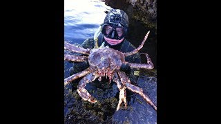 Рыбалка на баренцевом море крабы