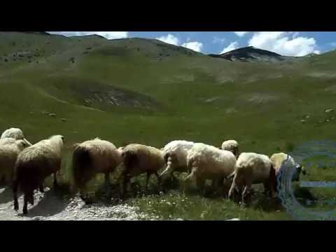 Bosanski Stećci selo Lukomir i Umoljani UNESCO-ve svjetske baštine Bjelašnica planina.