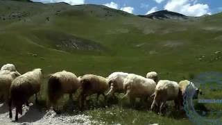 -Stećci-Pazaric travel- Bjelasnica Mountain.