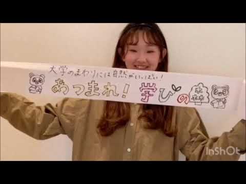 在学生が語る中部学院の魅力（造形表現［3年］幼稚園教諭・保育士コース）｜子ども教育学科｜中部学院大学・中部学院大学短期大学部