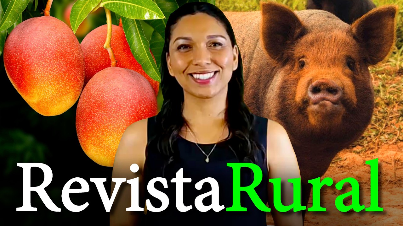 PROGRAMA REVISTA RURAL - 04/10/2026