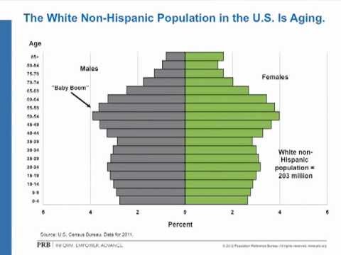 Webinar Presentation on PRB's 2012 World Population Data Sheet Video thumbnail