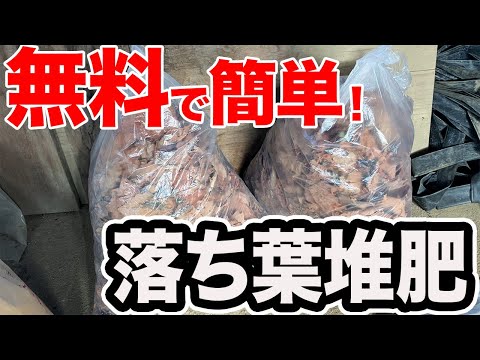 枯れ葉を肥料に変える方法 2022