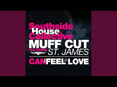 Can You Feel The Love (Original Mix)