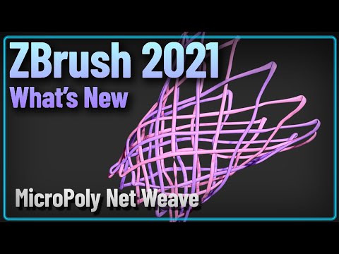 044 ZBrush 2021 MicroPoly Net Weave Demo