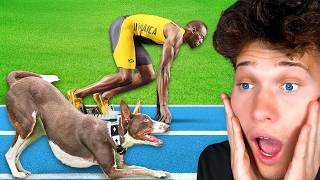 World's Fastest Man VS Fastest Dog