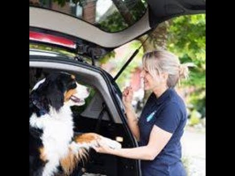 From Pet Taxi to Pet Taxi Franchise: A Success Story with Claire Harris