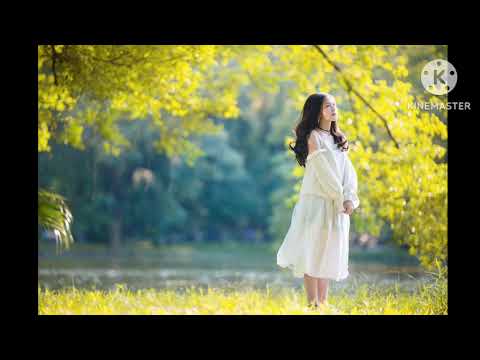 Xin cho Thu này - Lê Máy