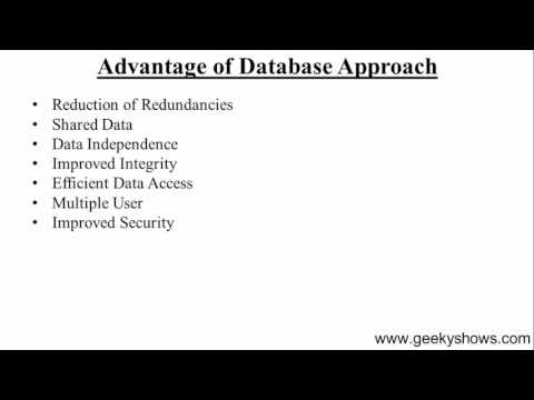 8 Advantage of Database Approach Hindi
