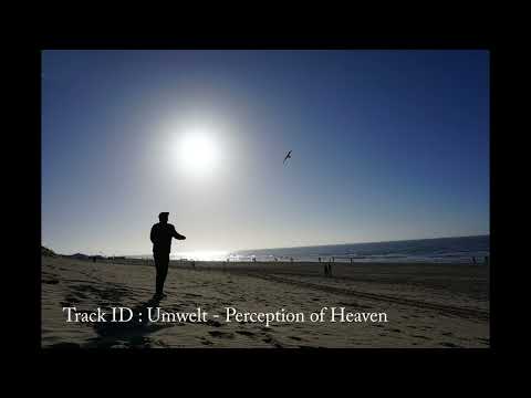 Saint (Zodiak Commune) - UMX #1