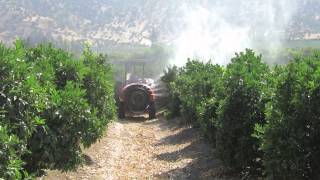 preview picture of video 'Managing Oranges at Chilefarms, Nogales, Chile'