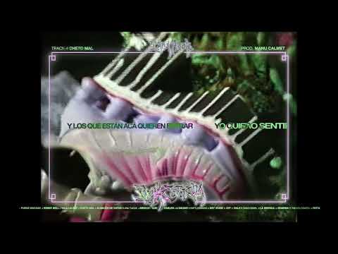 Cheto Mal - Sara Hebe (Videolyric)