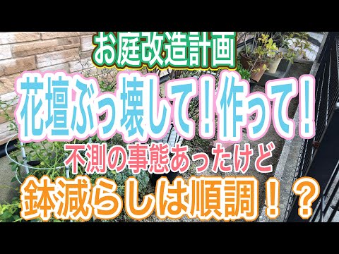 園芸 久しぶりの花壇