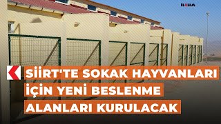 Siirt'te sokak hayvanları için yeni beslenme alanları kurulacak