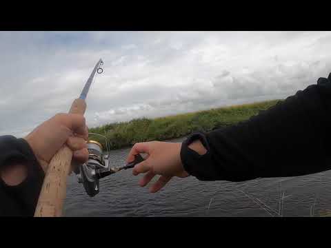 Laksefiske Figgjo 2 August 2020