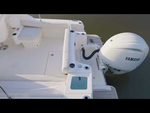 2026 Scout 220 Dorado Video