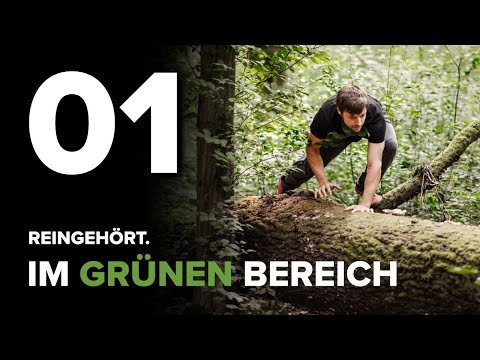 01 Intro aus dem Wald - Reingehört. Im Grünen Bereich