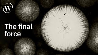 The strong force | holding our universe together