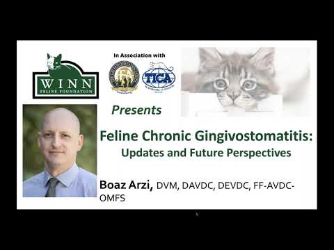 Feline Chronic Gingivostomatitis  Updates and Future Perspectives
