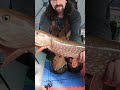 Video Thumbnail for Walleye’s Getting Busted