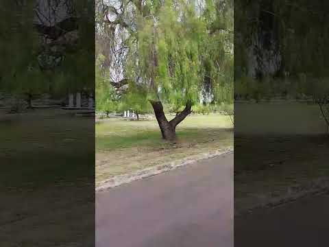 Parque General San Martin Mendoza.