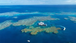 Sunlover Reef Cruises | Outer Great Barrier Reef Tours
