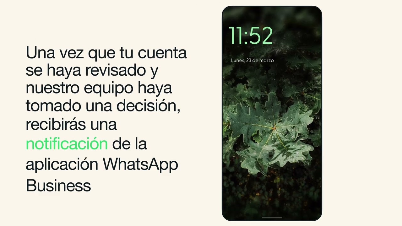 Cómo tomar medidas si se suspende tu cuenta de WhatsApp Business | WhatsApp
