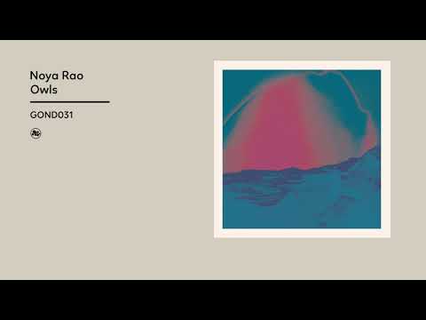 Noya Rao - Owls (Official Album Video)