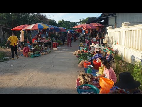 Morning Market Scene at Phsa Lvea Battambong - Walk & Yummy Eating Delicious Food @Countryside