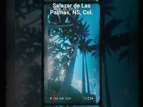 Salazar de Las Palmas, NS, Colombia.