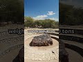 The largest meteorite found on Earth is the Hoba meteorite #shorts #facts #meteorite #spacefacts