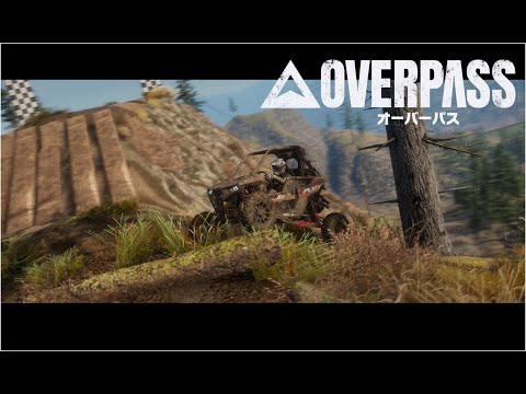 オーバーパス