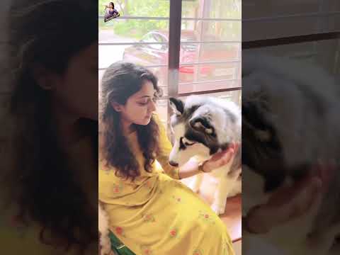 Unconditional Love🧡Dogs Are Special | Hariprriya simha #shorts