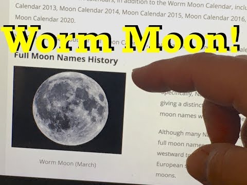 Worm Moon! Brainstorm new time-lapse ideas while feeding - vermicomposting