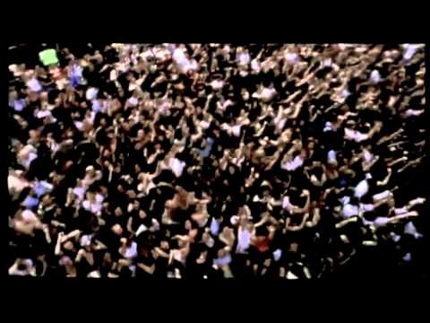 Chrome Metal Tigers  -  Teaser