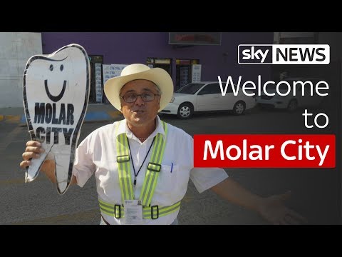 Welcome to Molar City