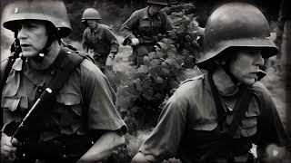 "The Grave" by Don McLean music video