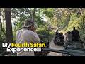 Dhikala  Safari : First Time 2 New Tiger"! DEFAULT Thumbnail