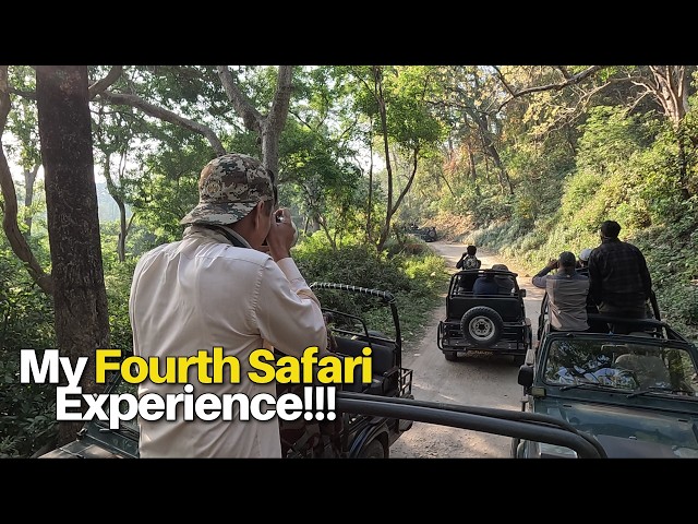 Dhikala  Safari : First Time 2 New Tiger"! SDDEFAULT Thumbnail