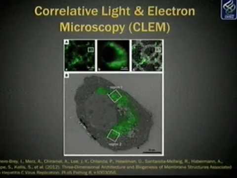 PhD Symposium: "Using Graphical Models to Characterize Spatial Interactions in Cells"