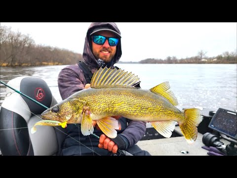 This River is LOADED with WALLEYES! Spring Walleye Fishing