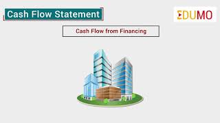 What is Cash Flow Statement?