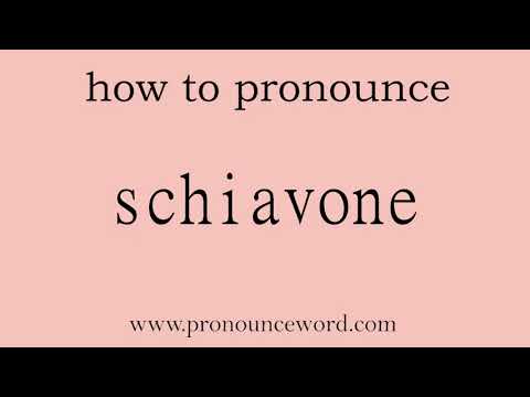 schiavone. How to pronounce the english word schiavone .Start with S. Learn from me.