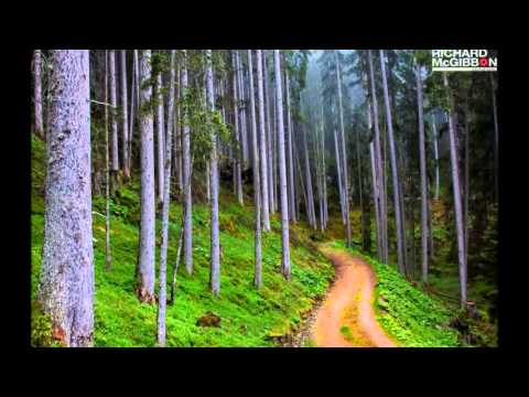 Minus 8-Wonderland (Ft. Miriam S) and Faye Done Away