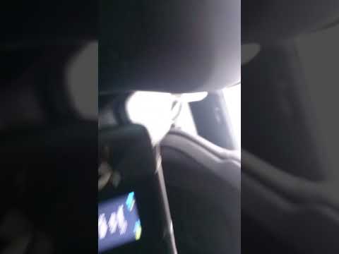 Jag vet vem som sköt Palme. Kanske andra också vet. men inte säger en så uppenbar grej