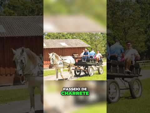 Tiradentes: Descubra História e Encantos em Viagem Inesquecível! #shorts