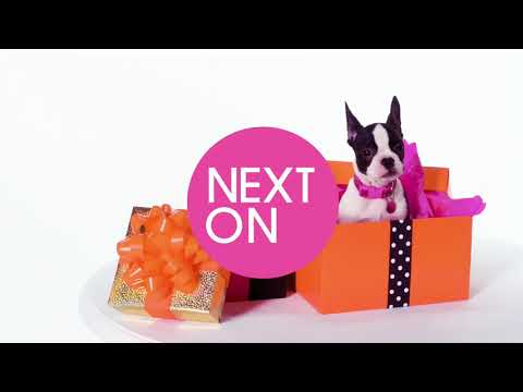 HSN | Yummie Shaping Fashions Celebration 07.05.2018 - 01 AM